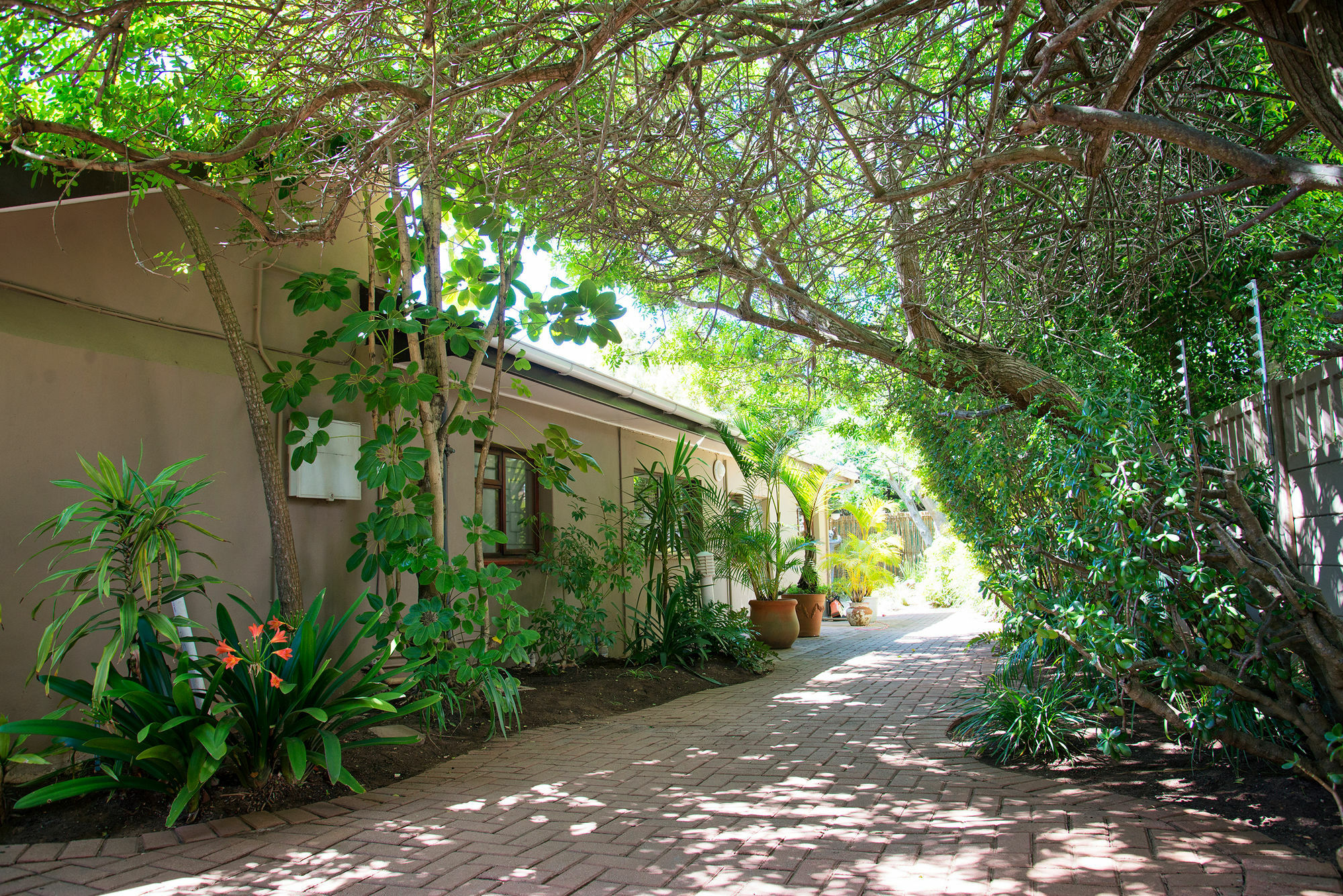 Bayside Guesthouse Port Elizabeth Exterior foto